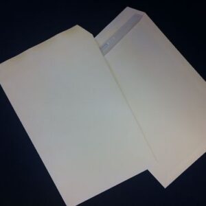 1000 X WHITE C4 ENVELOPES,WITH NO WINDOW, SELF-SEAL +24h -0